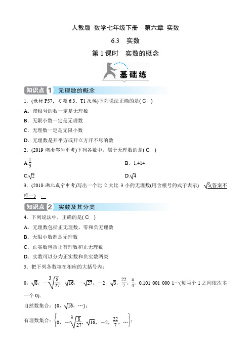 人教版 数学七年级下册课时练  第六章 实数  6.3 第1课时 实数的概念