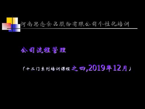 课程之4公司流程管理 105页PPT文档