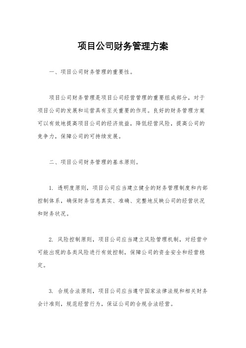 项目公司财务管理方案