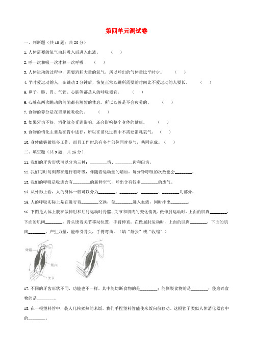 四年级科学上册第四单元综合测试卷含解析教科版