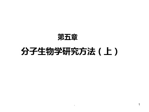 分子生物学-研究方法(上)PPT课件精选全文完整版