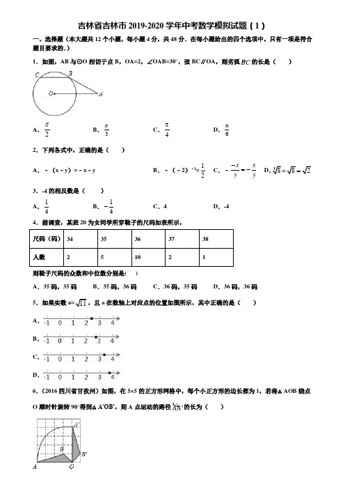 吉林省吉林市2019-2020学年中考数学模拟试题(1)含解析