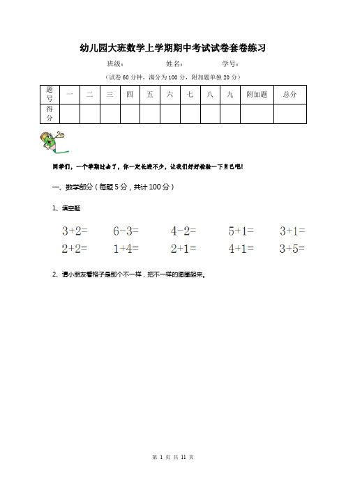 幼儿园大班数学上学期期中考试试卷套卷练习