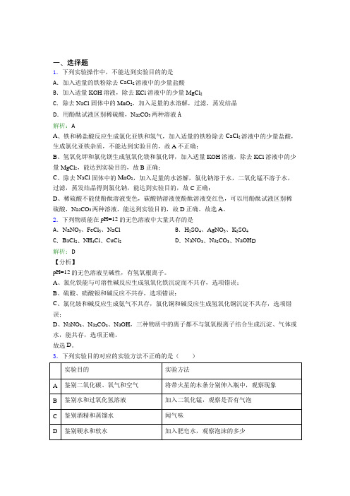 广东茂名市九年级化学下册第十一单元《盐 化肥》阶段测试(课后培优)