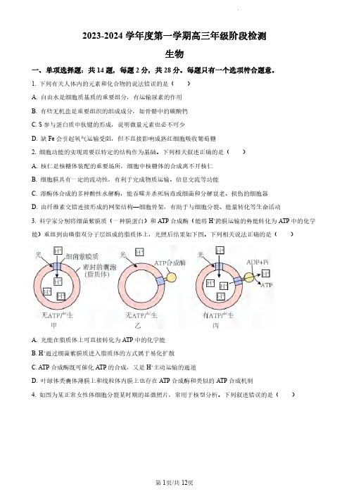 高三试卷生物-江苏省海安高级中学2024届高三上学期10月月考生物试卷及参考答案