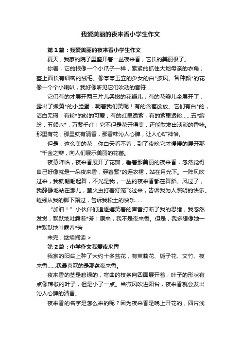 我爱美丽的夜来香小学生作文