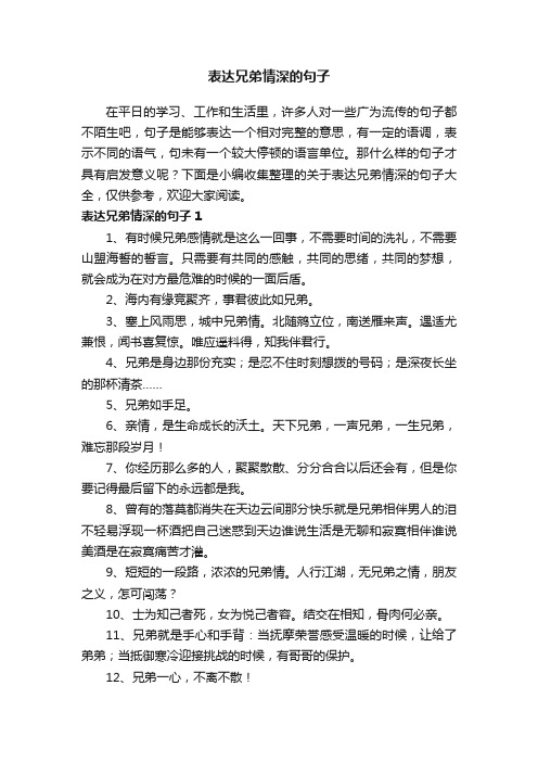 关于表达兄弟情深的句子大全