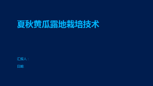 夏秋黄瓜露地栽培技术