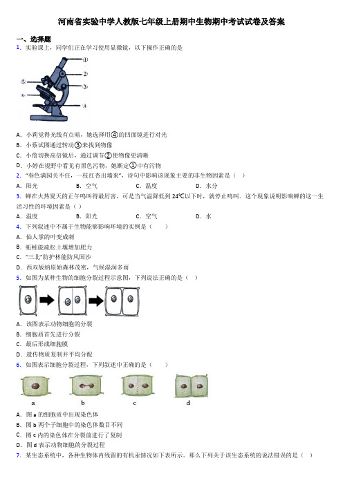 河南省实验中学人教版七年级上册期中生物期中考试试卷及答案