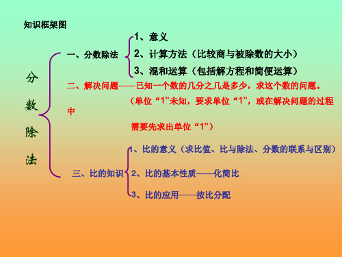 第三单元分数除法整理和复习