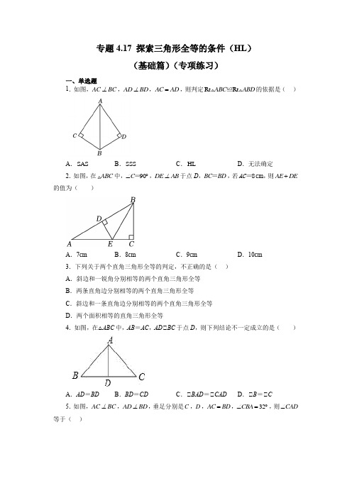 专题探索三角形全等的条件(HL)(专项练习)数学七年级下册(北师大版)