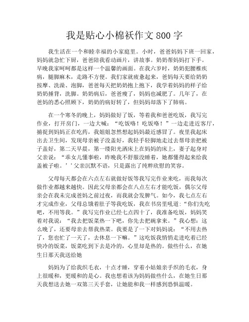 我是贴心小棉袄作文800字