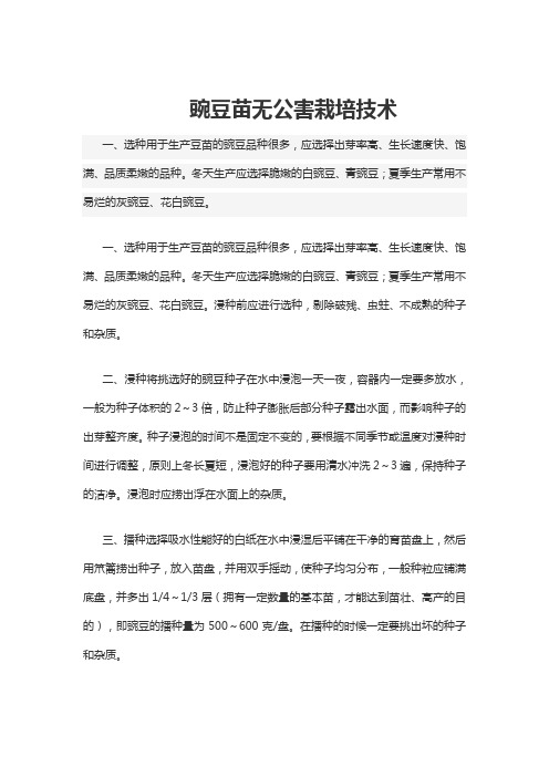 豌豆苗无公害栽培技术