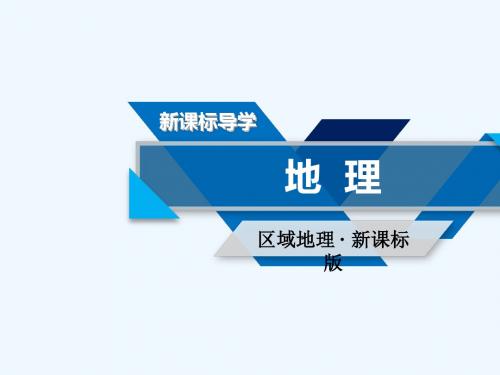 (新课标版)2019高考地理一轮回顾 区域地理 第二篇 世界地理 第三单元 世界地理分区和主要国家 第2课时 东