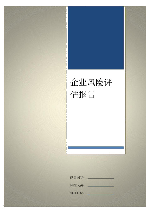 金融企业借款客户风险评估报告模版