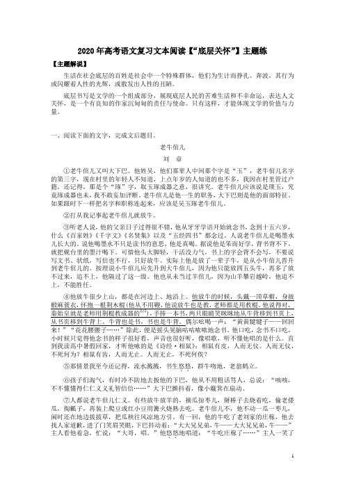 2020年高考语文复习文本阅读【“底层关怀”】主题练附答案解析