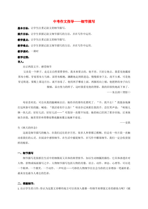 中考语文复习作文细节描写教学案