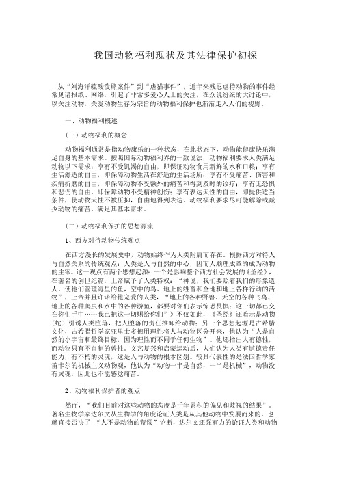 我国动物福利现状及其法律保护初探
