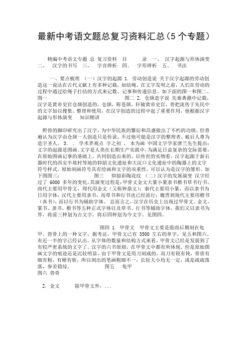 最新中考语文题总复习资料汇总(5个专题)-精选.doc