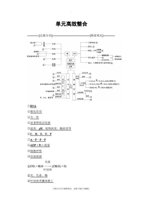 2021高考苏教版生物一轮复习讲义： 必修1 第3单元 单元高效整合