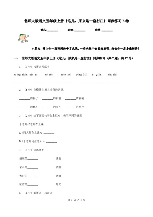 北师大版语文五年级上册《这儿,原来是一座村庄》同步练习B卷