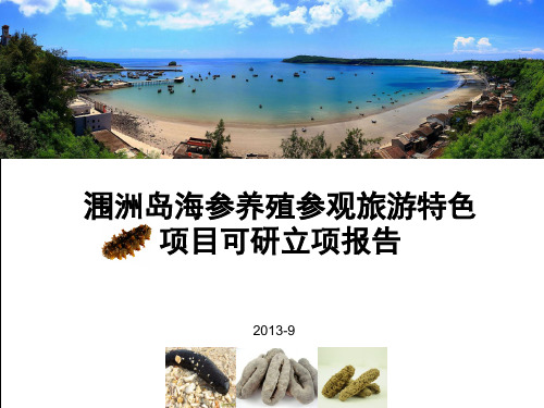 海参(海产品)旅游项目PPT