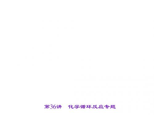 中考 科学(金华地区)中考总复习 第36讲 化学循环反应专题