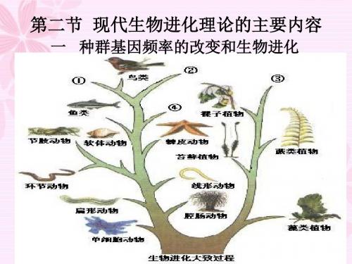 7[1].2现代生物进化理论的主要内容1