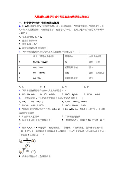 人教版初三化学生活中常见的盐培优课堂达标练习