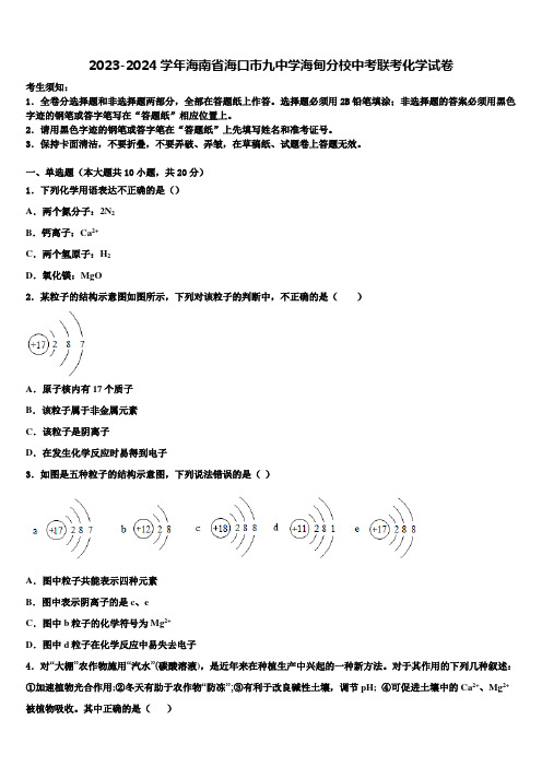 2023-2024学年海南省海口市九中学海甸分校中考联考化学试卷含解析