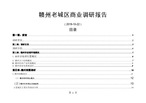 2019年江西省赣州老城区商业调研报告word资料22页