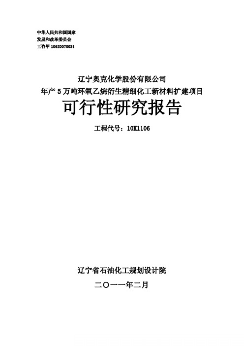 能源公司年产5万吨环氧乙烷衍生精细化工新材料扩建项目可行性研究报告