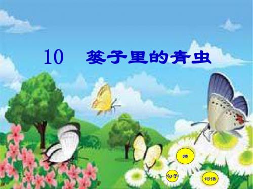 《篓子里的青虫》ppt课件1