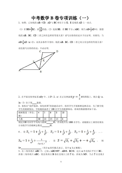 2017-2018中考B卷数学专项训练(原卷版)