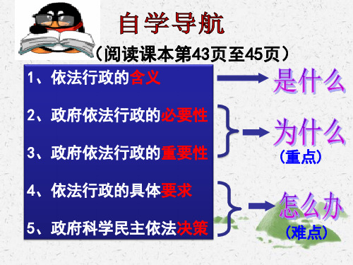 高中政治人教版必修2政府的权力：依法行使 课件PPT