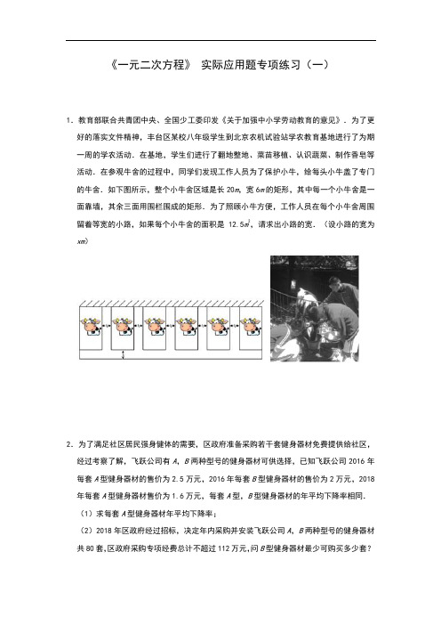 北师大版九年级上册 第二章《一元二次方程》 实际应用题专项练习(一)