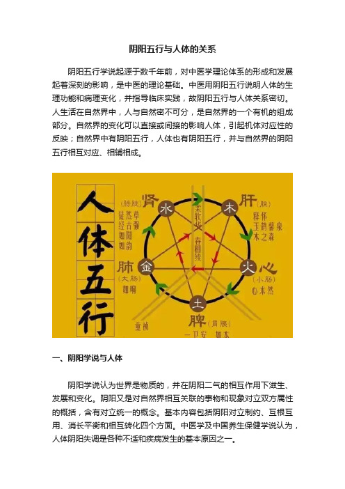 阴阳五行与人体的关系