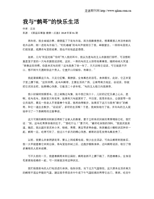 我与“鹩哥”的快乐生活