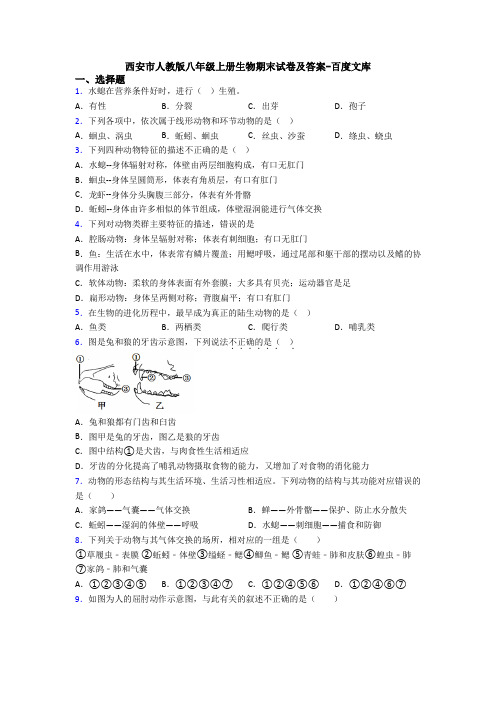 西安市人教版八年级上册生物期末试卷及答案-百度文库