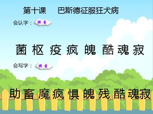 最新语文S版四年级语文下册10 巴斯德征服狂犬病_生字词学习(会认字、会写字)生字精品课件(模板)