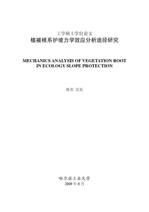 植被根系护坡力学效应分析途径研究