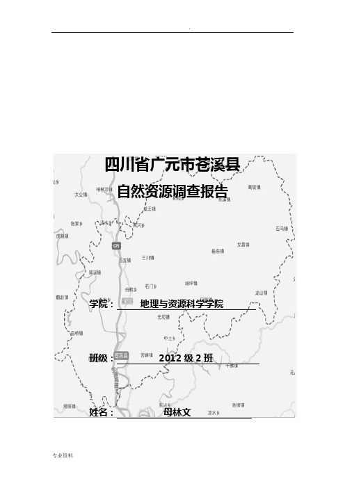 苍溪县主要自然资源调查报告,区域分析与区域规划