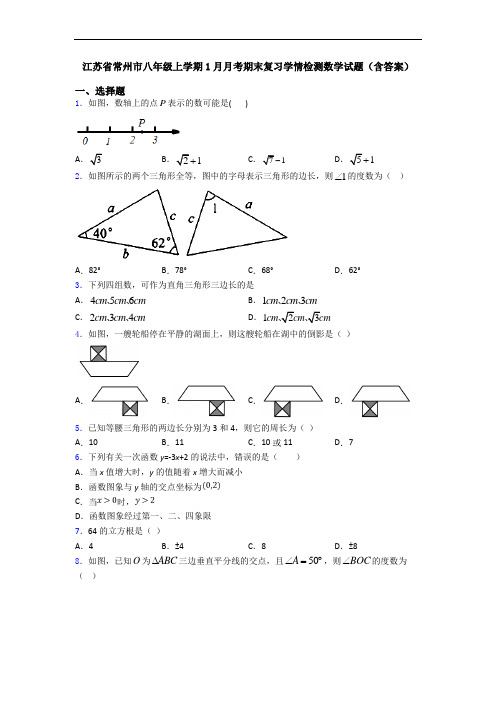 江苏省常州市八年级上学期1月月考期末复习学情检测数学试题(含答案)