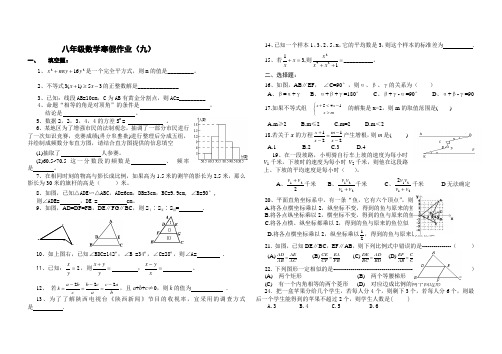 八年级上数学寒假作业9