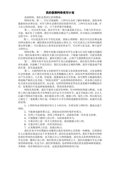 我的假期网络使用计划