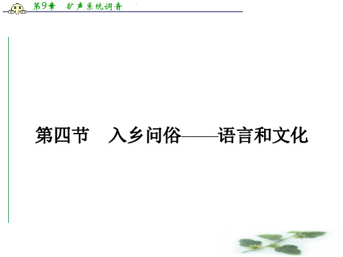 高中语文(选修-语言文字应用)同步课件:6.4 入乡问俗——语言和文化