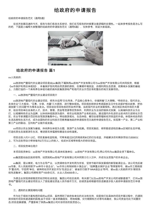 给政府的申请报告