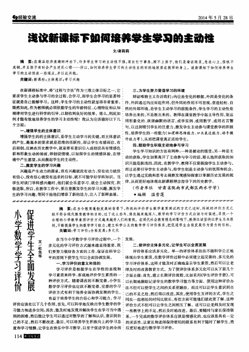 小学数学学习评价促进学生全面发展