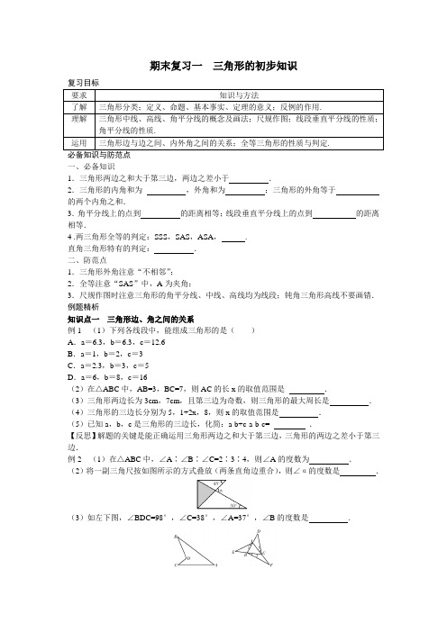 浙教八上数学期末复习一  三角形的初步知识