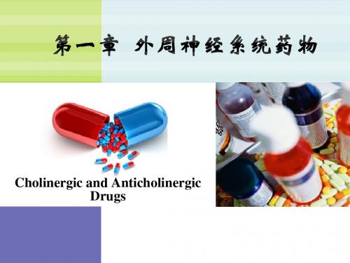 拟胆碱和抗胆碱药
